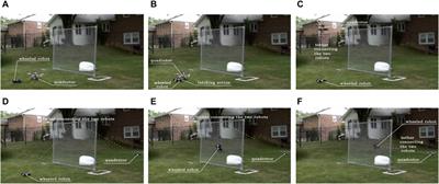 Cooperative planning for physically interacting heterogeneous robots